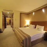 酒店 德德曼科尼亚酒店及会议中心