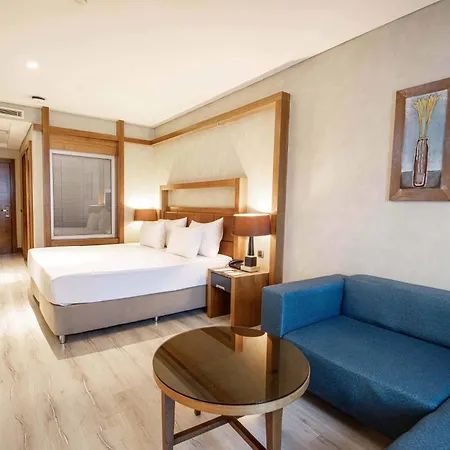 Dedeman Convention Center 호텔 5*