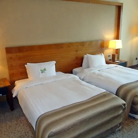 Dedeman Convention Center Hotell Konya