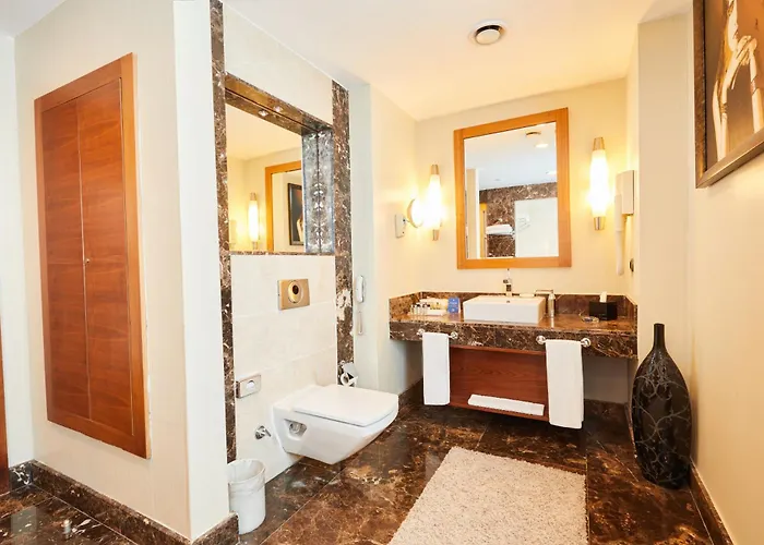 德德曼科尼亚酒店及会议中心 酒店 科尼亚