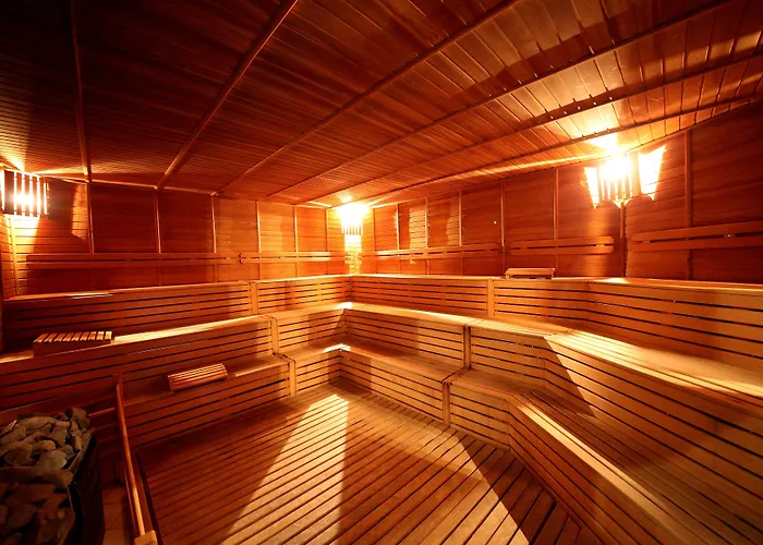 德德曼科尼亚酒店及会议中心 5*