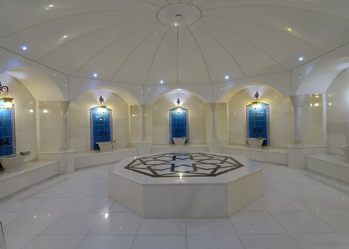 酒店 德德曼科尼亚酒店及会议中心