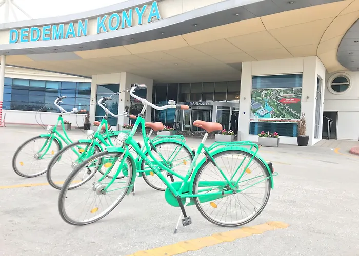 德德曼科尼亚酒店及会议中心 酒店 5*